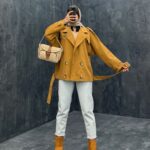 بارونی کد 341742